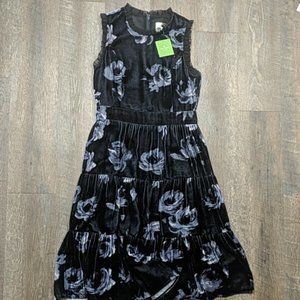 Night Rose Velvet Dress Star Bright Kate Spade